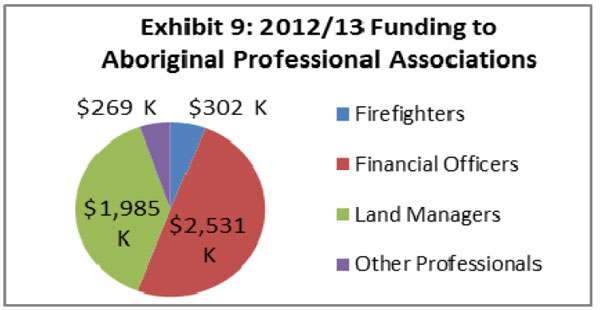 012/13 Funding to Aboriginal Professional Associations