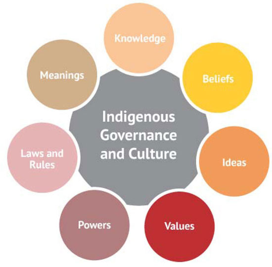 Indigenous Institutional Success Elements