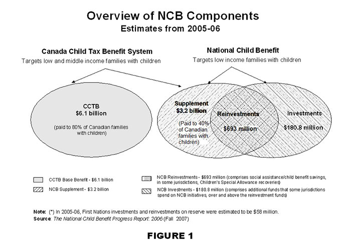 Overview of NCB Components Estimates from 2005-06