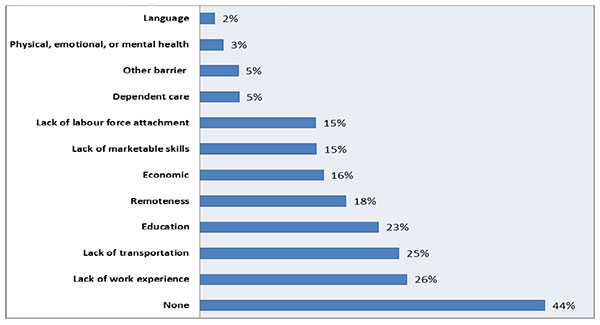 Barriers to Employment Cited by FNJF Clients