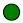 Green Full Circle