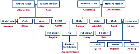 Inuit Family Tree Model (with translation)