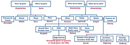 Modèle d'arbre généalogique inuit (avec traduction)