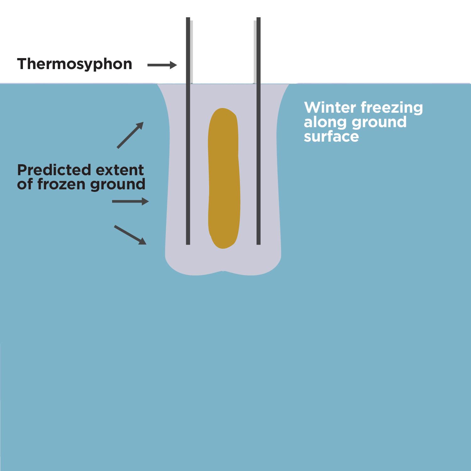 This figure shows a visual representation of an arsenic chamber after it has been frozen, with two 2 parallel vertical lines representing the thermosyphons located on the outside of the chamber. The area representing the ground is labeled 'winter freezing along ground surface.' A block representing the predicted extent of the frozen ground surrounds the chamber and encompasses the thermosyphons.