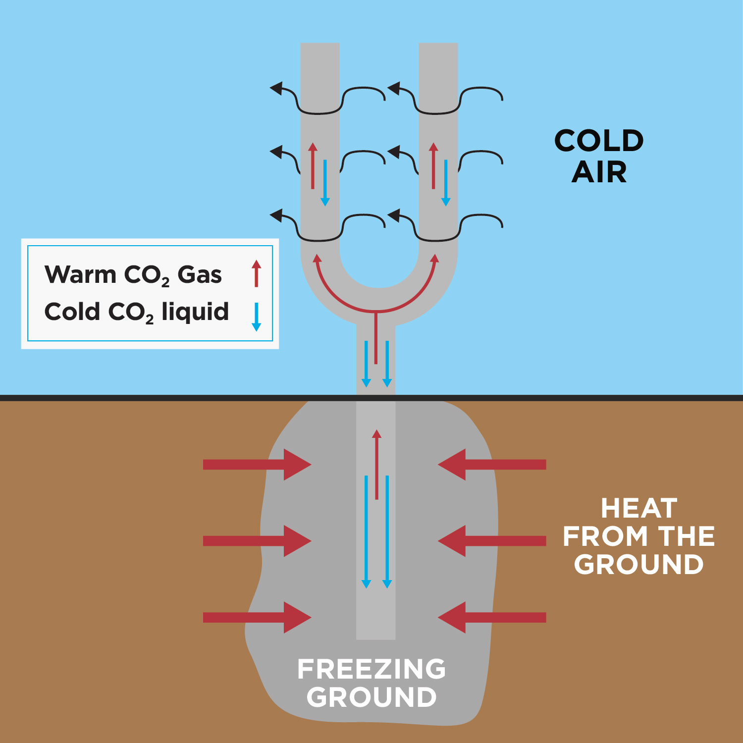 This figure shows a visual representation of how thermosyphons work. A thermosyphon is a pipe with two 2 prongs above ground into one large pipe in the ground. Each prong has multiple small fins on it.  A thermosyphon is filled with carbon dioxide. Heat from the ground is removed as it warms the pipe in the frozen ground, which turns the liquid carbon dioxide into a gas that is shown rising up the pipe. The cold air of the northern climate then causes the carbon dioxide gas to turn into a liquid which is shown dropping down the pipe to continue the cycle.