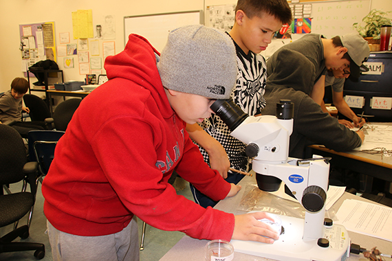 Des étudiants examinent des graines à travers un microscope.