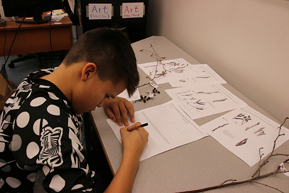 Un étudiant dessine une plante.